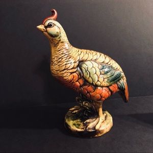 Classic Brazilian Bold Colored Tropical Bird